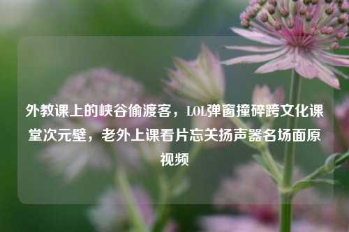 外教课上的峡谷偷渡客,LOL弹窗撞碎跨文化课堂次元壁,老外上课看片忘关扬声器名场面原视频