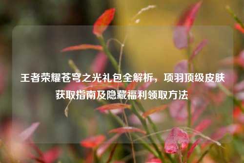 王者荣耀苍穹之光礼包全解析,项羽顶级皮肤获取指南及隐藏福利领取方法