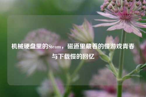 机械硬盘里的Steam，磁道里藏着的慢游戏青春与下载慢的回忆