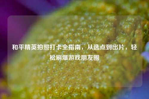 和平精英拍照打卡全指南,从选点到出片,轻松刷爆游戏朋友圈