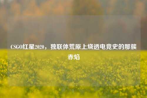 CSGO红星2020,独联体荒原上烧透电竞史的那簇赤焰