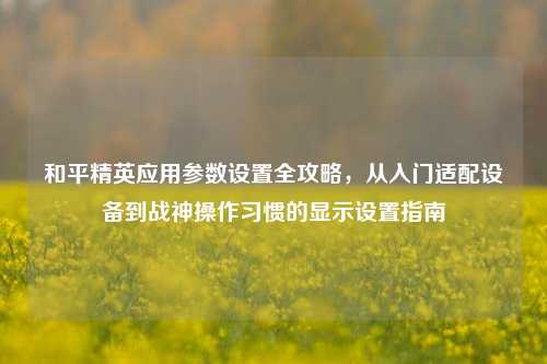 和平精英应用参数设置全攻略,从入门适配设备到战神操作习惯的显示设置指南