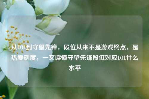 从LOL到守望先锋,段位从来不是游戏终点,是热爱刻度,一文读懂守望先锋段位对应LOL什么水平