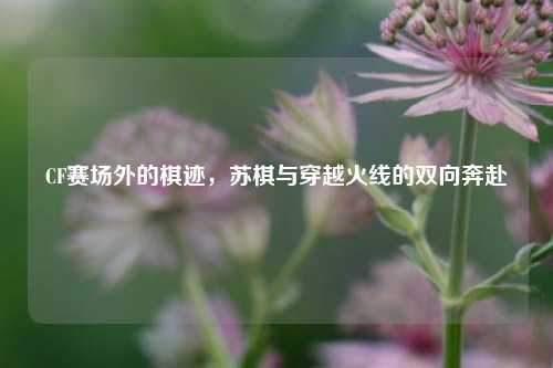 CF赛场外的棋迹，苏棋与穿越火线的双向奔赴