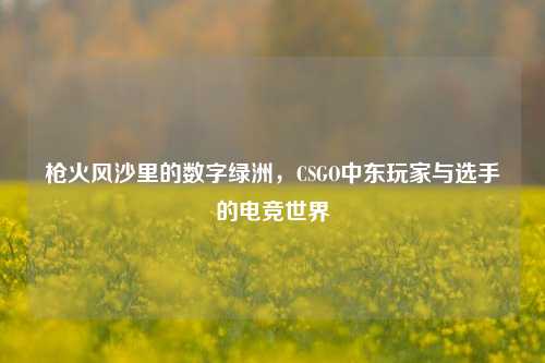 枪火风沙里的数字绿洲,CSGO中东玩家与选手的电竞世界