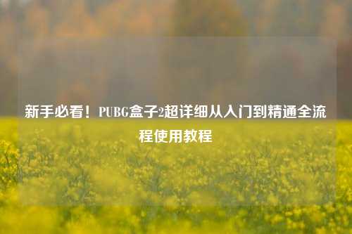 新手必看！PUBG盒子2超详细从入门到精通全流程使用教程