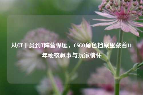 从CT干员到T阵营悍匪，CSGO角色档案里藏着11年硬核叙事与玩家情怀