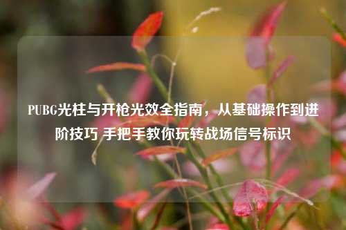 PUBG光柱与开枪光效全指南,从基础操作到进阶技巧 手把手教你玩转战场信号标识