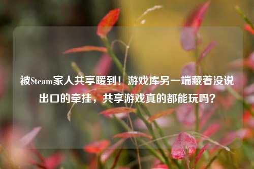 被Steam家人共享暖到!游戏库另一端藏着没说出口的牵挂,共享游戏真的都能玩吗?