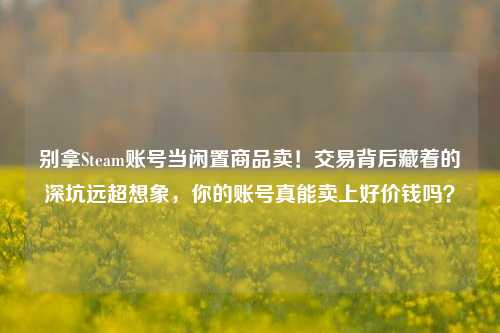 别拿Steam账号当闲置商品卖!交易背后藏着的深坑远超想象,你的账号真能卖上好价钱吗?