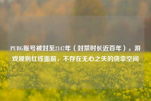 PUBG账号被封至2147年(封禁时长近百年),游戏规则红线面前,不存在无心之失的侥幸空间