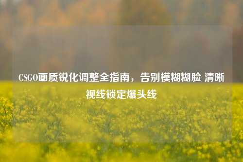 CSGO画质锐化调整全指南,告别模糊糊脸 清晰视线锁定爆头线