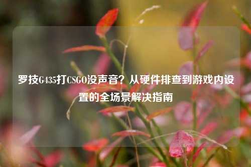 罗技G435打CSGO没声音？从硬件排查到游戏内设置的全场景解决指南