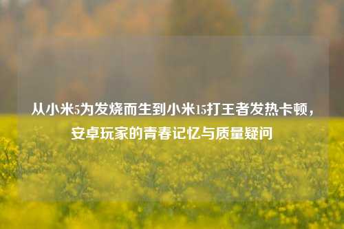 从小米5为发烧而生到小米15打王者发热卡顿,安卓玩家的青春记忆与质量疑问