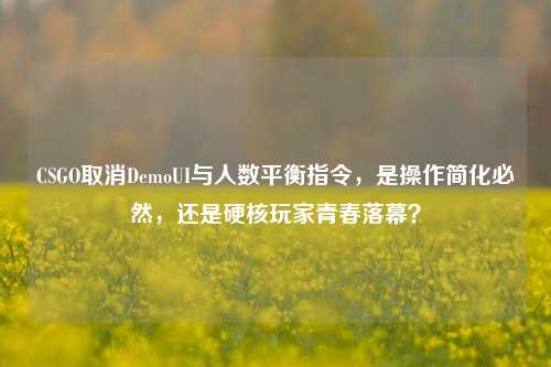 CSGO取消DemoUI与人数平衡指令,是操作简化必然,还是硬核玩家青春落幕?