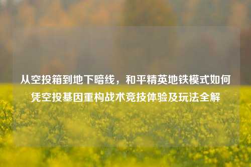 从空投箱到地下暗线,和平精英地铁模式如何凭空投基因重构战术竞技体验及玩法全解