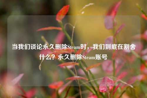 当我们谈论永久删除Steam时,我们到底在割舍什么?永久删除Steam账号
