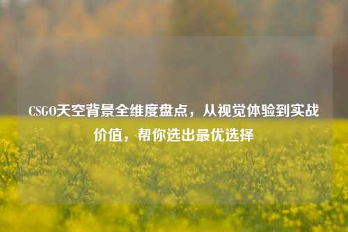 CSGO天空背景全维度盘点,从视觉体验到实战价值,帮你选出最优选择