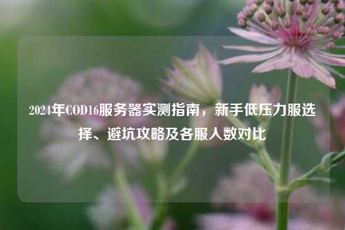 2024年COD16服务器实测指南，新手低压力服选择、避坑攻略及各服人数对比