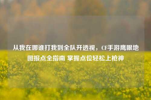 从我在哪谁打我到全队开透视,CF手游鹰眼地图报点全指南 掌握点位轻松上枪神