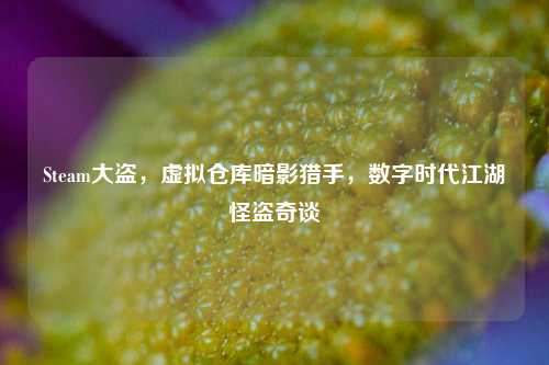 Steam大盗,虚拟仓库暗影猎手,数字时代江湖怪盗奇谈
