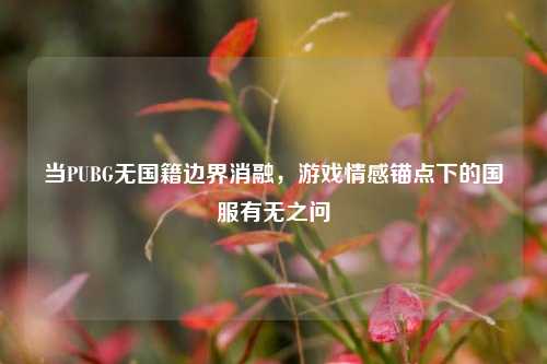 当PUBG无国籍边界消融，游戏情感锚点下的国服有无之问