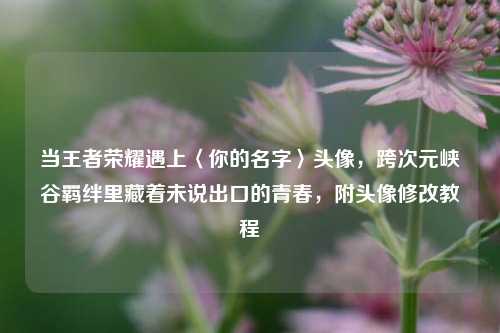 当王者荣耀遇上〈你的名字〉头像,跨次元峡谷羁绊里藏着未说出口的青春,附头像修改教程