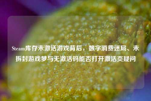Steam库存未激活游戏背后,数字消费迷局、未拆封游戏梦与无激活码能否打开激活页疑问