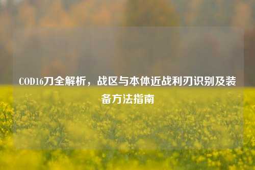 COD16刀全解析,战区与本体近战利刃识别及装备方法指南