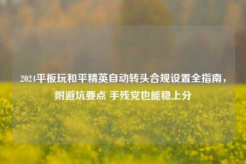 2024平板玩和平精英自动转头合规设置全指南,附避坑要点 手残党也能稳上分