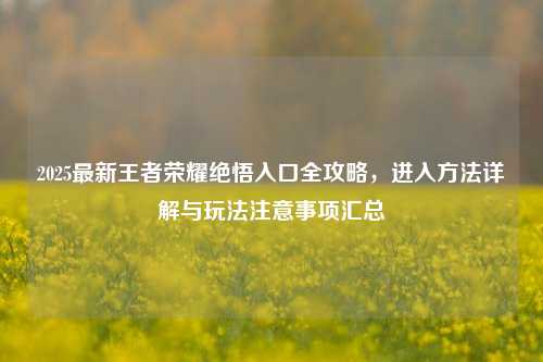 2025最新王者荣耀绝悟入口全攻略,进入方法详解与玩法注意事项汇总