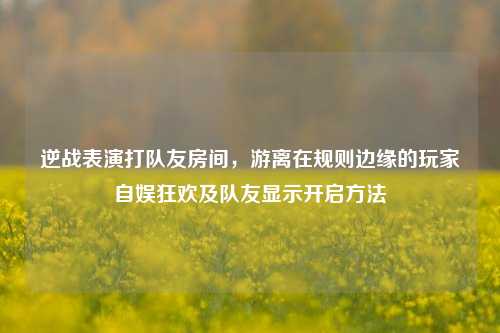 逆战表演打队友房间,游离在规则边缘的玩家自娱狂欢及队友显示开启方法