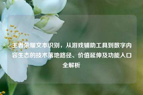 王者荣耀文本识别,从游戏辅助工具到数字内容生态的技术落地路径、价值延伸及功能入口全解析