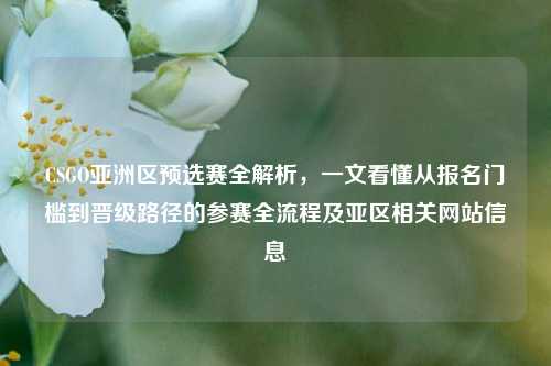 CSGO亚洲区预选赛全解析,一文看懂从报名门槛到晋级路径的参赛全流程及亚区相关网站信息