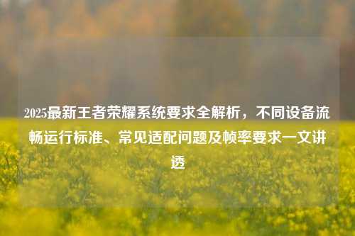 2025最新王者荣耀系统要求全解析,不同设备流畅运行标准、常见适配问题及帧率要求一文讲透