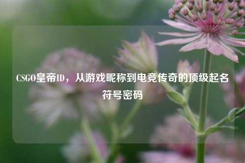 CSGO皇帝ID,从游戏昵称到电竞传奇的顶级起名符号密码