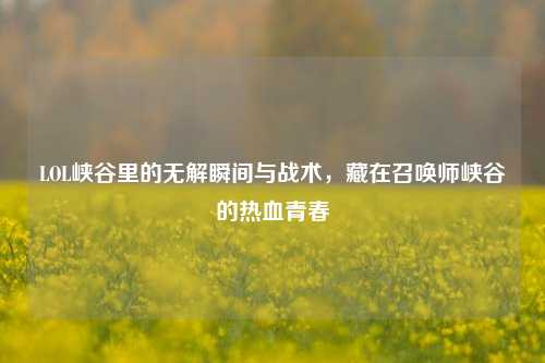 LOL峡谷里的无解瞬间与战术，藏在召唤师峡谷的热血青春