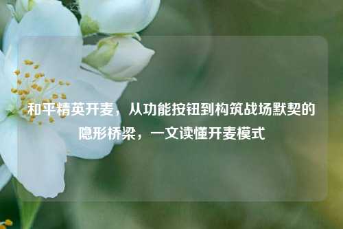 和平精英开麦,从功能按钮到构筑战场默契的隐形桥梁,一文读懂开麦模式