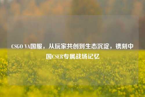 CSGO VA国服,从玩家共创到生态沉淀,镌刻中国CSER专属战场记忆