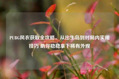 PUBG风衣获取全攻略，从出生岛到对局内实用技巧 助你稳稳拿下稀有外观