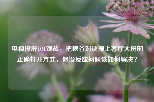 电视投屏LOL观战，把峡谷对决搬上客厅大屏的正确打开方式，遇没反应问题该如何解决？