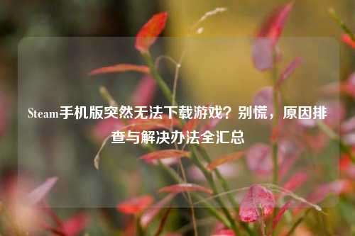 Steam手机版突然无法下载游戏?别慌,原因排查与解决办法全汇总