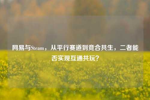 网易与Steam，从平行赛道到竞合共生，二者能否实现互通共玩？