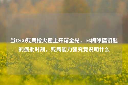 当CSGO残局枪火撞上开箱金光，1v5间隙摸钥匙的疯批时刻，残局能力强究竟说明什么
