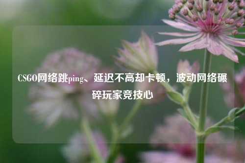 CSGO网络跳ping、延迟不高却卡顿,波动网络碾碎玩家竞技心