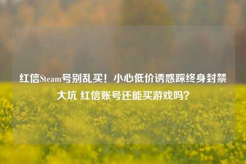 红信Steam号别乱买！小心低价诱惑踩终身封禁大坑 红信账号还能买游戏吗？