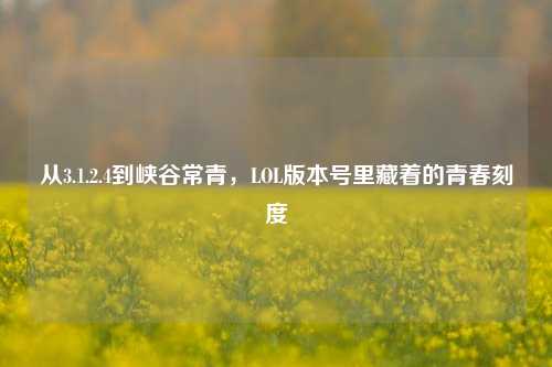 从3.1.2.4到峡谷常青,LOL版本号里藏着的青春刻度