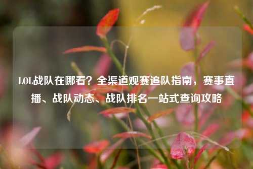 LOL战队在哪看？全渠道观赛追队指南，赛事直播、战队动态、战队排名一站式查询攻略