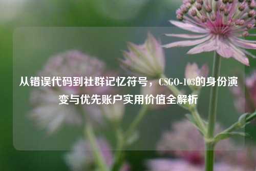 从错误代码到社群记忆符号,CSGO-103的身份演变与优先账户实用价值全解析