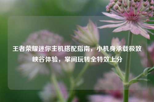 王者荣耀迷你主机搭配指南,小机身承载极致峡谷体验,掌间玩转全特效上分
